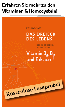 Leseprobe Dreieck des Lebens