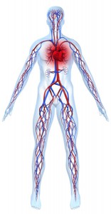 Herzinfarkt Symptome - Homocysteinspiegel