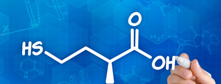 Homocystein - Synervit um den Spiegel zu senken